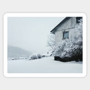 Scandinavian Wintertime - Snowfall in Rural Norway Sticker